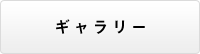 ギャラリー