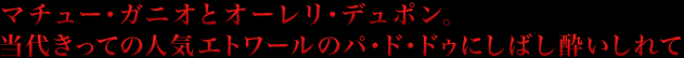 ご家族向きオペラの定番。可愛らしさと壮大さを同時に味わえる、視覚的にも大満足の見逃せない１作