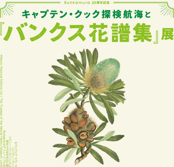 Bunkamura25周年記念
キャプテン・クック探検航海と『バンクス花譜集』展
