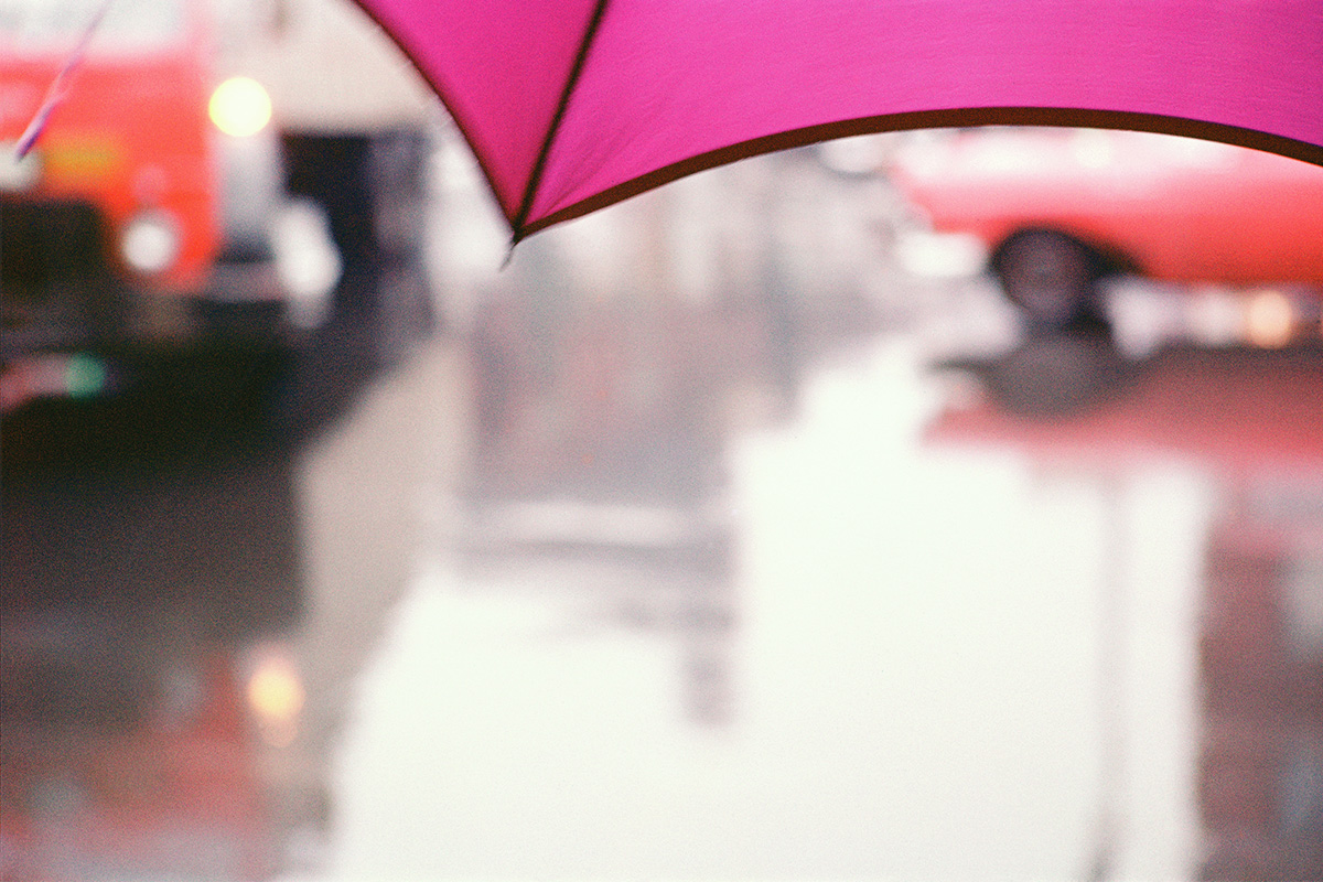 ソール・ライター《薄紅色の傘》 1950年代、
発色現像方式印画
©Saul Leiter Foundation