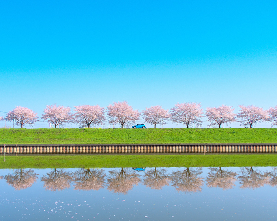 《群馬の水郷公園》