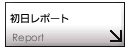 report2