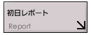 report2