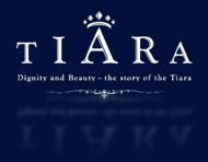 TIARA vZX̋PeBAW