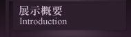 展示概要