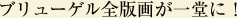 u[QSŉ悪ꓰɁI