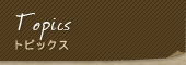 gsbNX