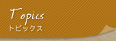 gsbNX