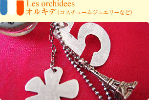 Les orchidees@ILfiRX`[WG[Ȃǁj