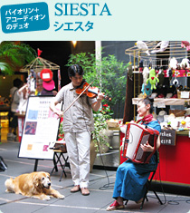 �o�C�I�����{�A�R�[�f�B�I���̃f���I

                        SIESTA �V�G�X�^