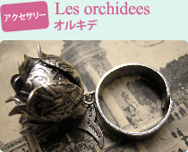 �A�N�Z�T���[

            Les orchidees

            �I���L�f