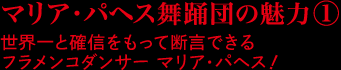 マリア・パヘス舞踊団の魅力① 
世界一と確信をもって断言できる フラメンコダンサー マリア・パヘス！