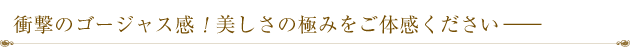 衝撃のゴージャス感！美しさの極みをご体感ください