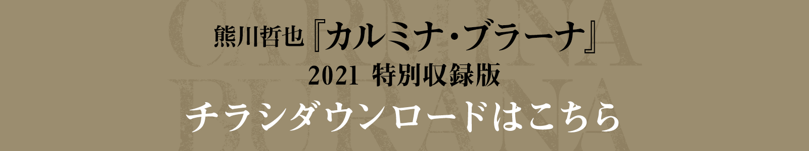 チラシダウンロードはこちら