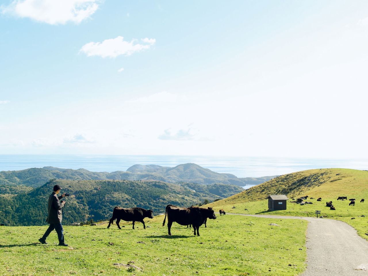 spread from d47 シブヤから広がる文化ツーリズム 島根編 | マンガ